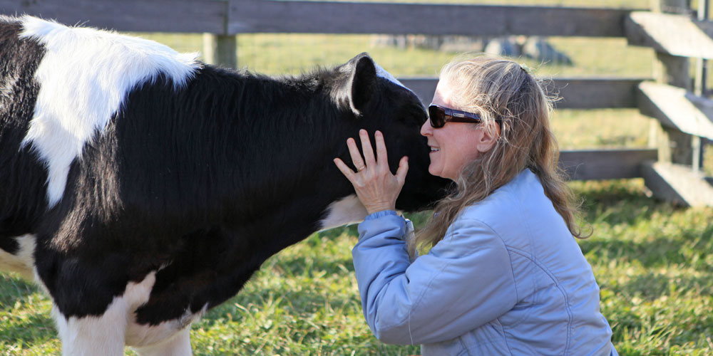 Visitor hugs cow resident