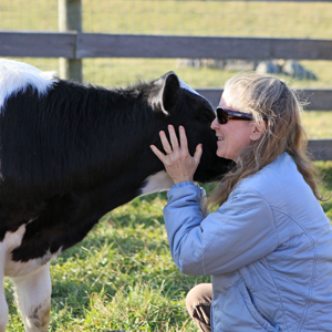 Visitor hugs cow resident