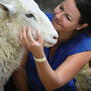 Visitors smiles at sheep resident