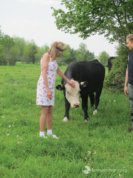 Mary pets cow resident